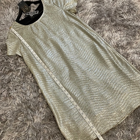 🛍️B2G1 FREE🛍️Outfit: NWT earrings & NWT Angie metallic dress - Picture 8 of 10